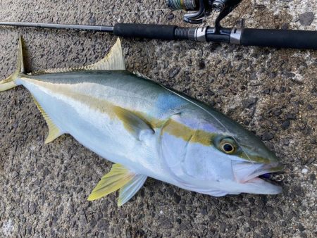 A.P.Pフィッシングガイドサービス ブリ&ヒラマサ 秋を感じる展開にRIDEON!