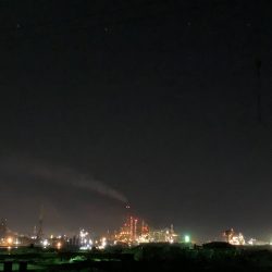 タチウオの群れ接岸中！