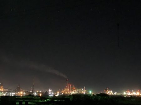 タチウオの群れ接岸中！