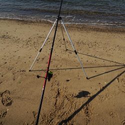 落ちギス釣り 終了の気配