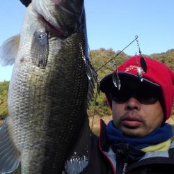 ワンフックアラバマでぽつぽつ