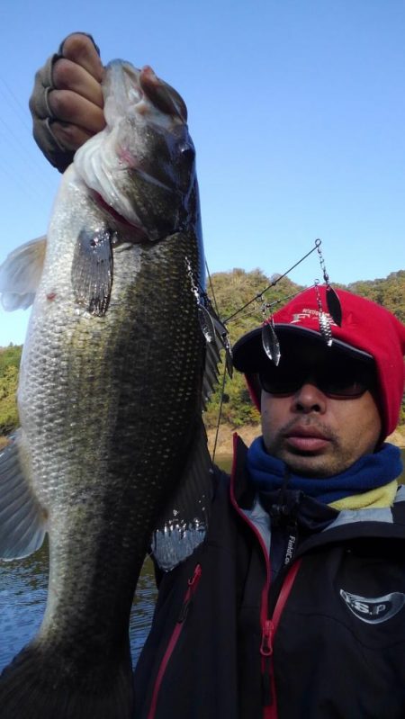 ワンフックアラバマでぽつぽつ