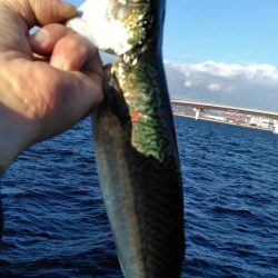 なんで～　こっちのエ～サは、まずい～