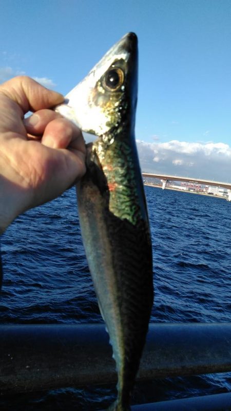 なんで～　こっちのエ～サは、まずい～