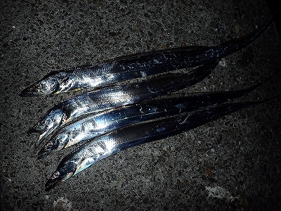 皆既月食の武庫川一文字で！