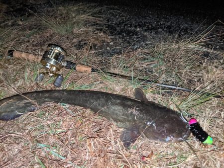 拝啓カンパリ様