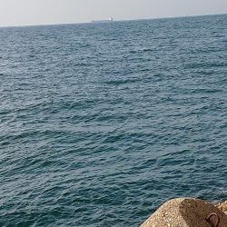 飲ませ釣りでメジロ！