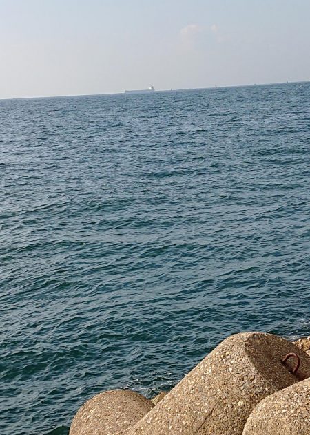 飲ませ釣りでメジロ！