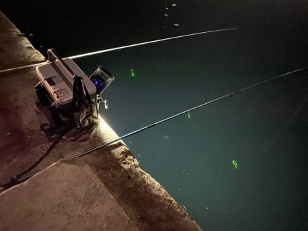 今一番釣れているヒイカを狙い！