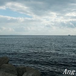 根掛かりと戦いつつ良型カワハギ!