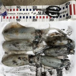 最後はホームでRUN