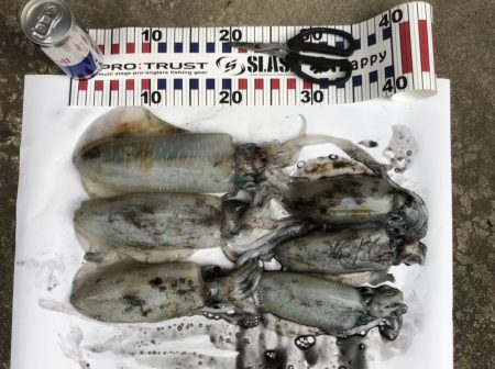 最後はホームでRUN