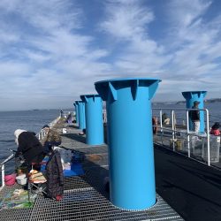 秋ですね。朝は肌寒い