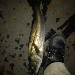 仕事帰りに覗いてみたらボイルが連発