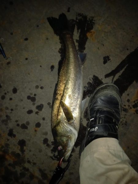 仕事帰りに覗いてみたらボイルが連発