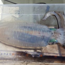 シーズン終盤戦