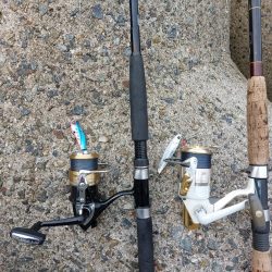 プチsalt water game