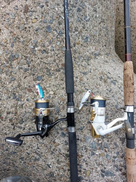 プチsalt water game