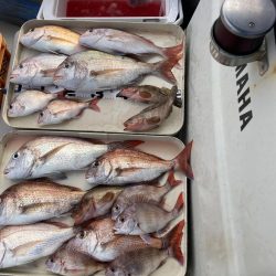 久しぶりの小豆島の西側回り