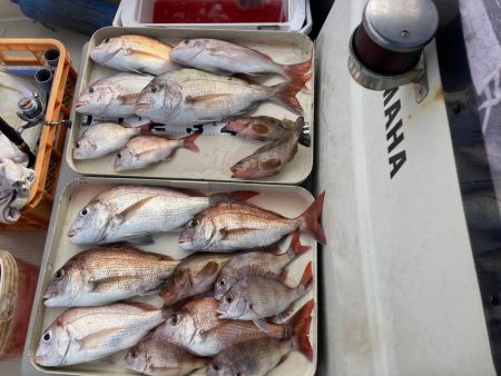 久しぶりの小豆島の西側回り