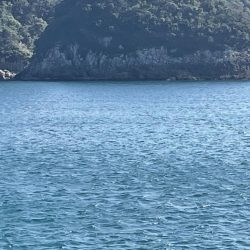 今年秋イカ初ヤエンでキロアップ