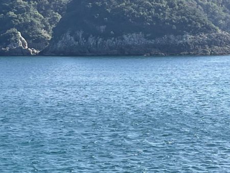 今年秋イカ初ヤエンでキロアップ