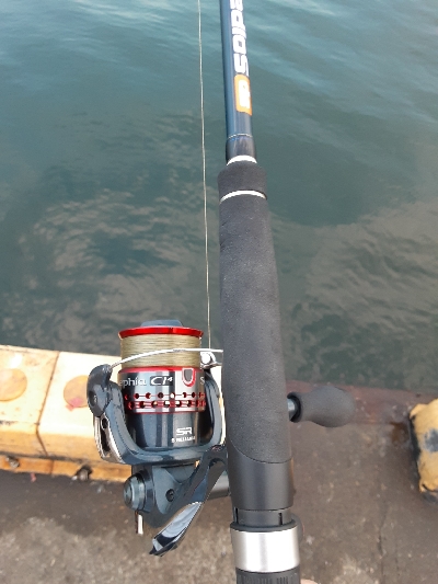 湾奥タチウオ調査2日目