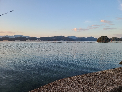 ショアジギ不調、アジング好調