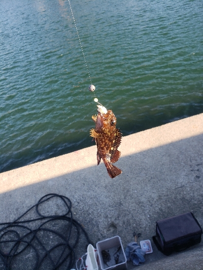 いろいろ出会えたひ