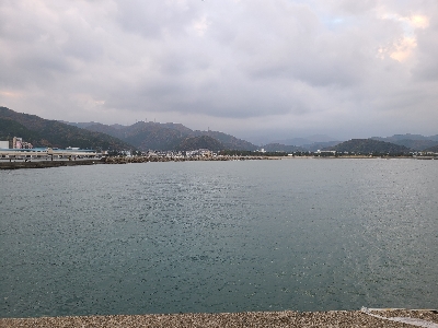 良型サイズがぞくぞくと