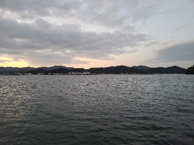 色々釣れました！