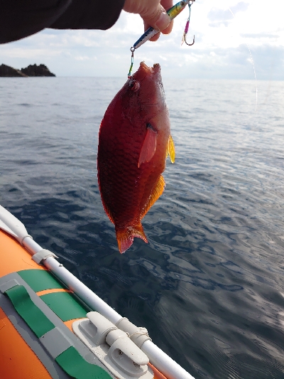 ゴムボートで釣りをしてきました