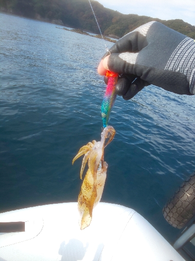 ゴムボティップラン