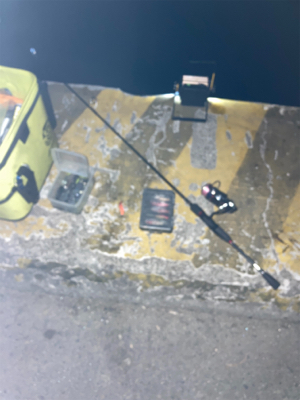 ヒイカ釣り4(^｡^)