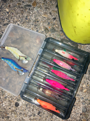 ヒイカ調査5(^.^)