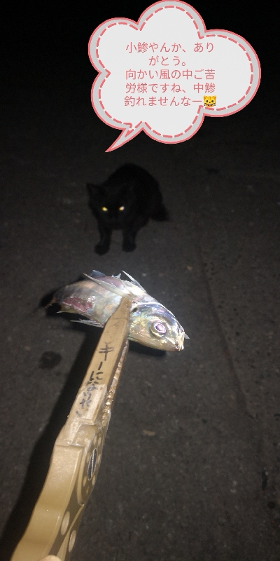 アジング練習328　スプリットシンカー