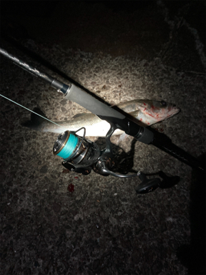 1時間だけ楽しみました