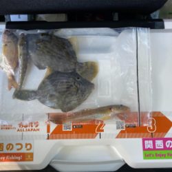 貝塚人工島の水路へ、カレイ狙い