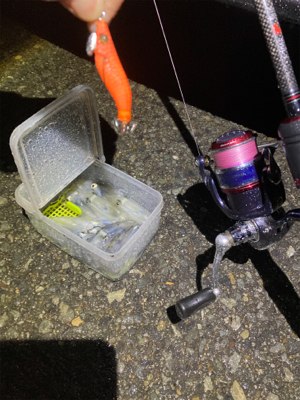 雨でもヒイカ釣りσ(^_^;)