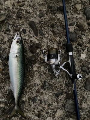 爆風ライトゲーム