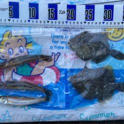 カレイ、カワハギ釣り