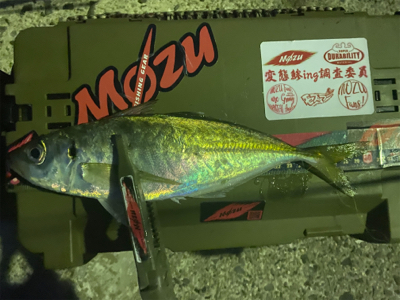 久々の軽量ジグ単