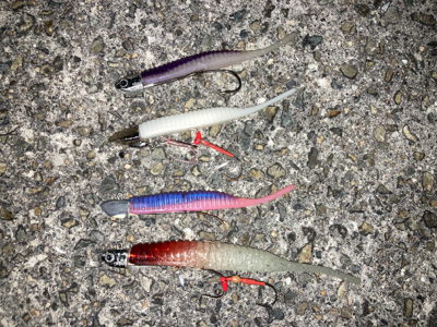 タチウオのアタリと引きを堪能しました