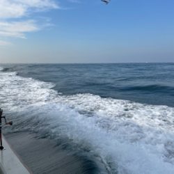 明石沖ジギング