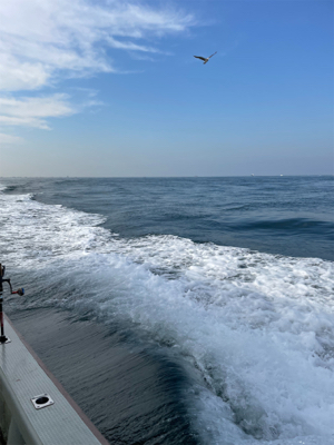 明石沖ジギング