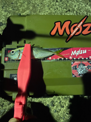 寒さで準備をサボったせいで