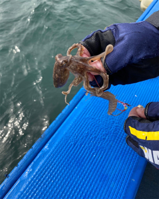 関門一つテンヤ