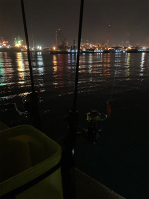 姫路以外でヒイカ調査(^。^)