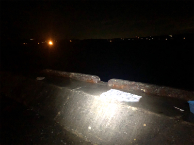 小アジ爆釣するも、中アジは不在…