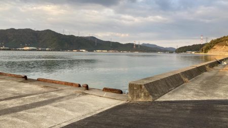 サヨリ釣りとアジ釣り